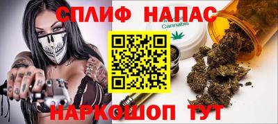 СК Будённовск