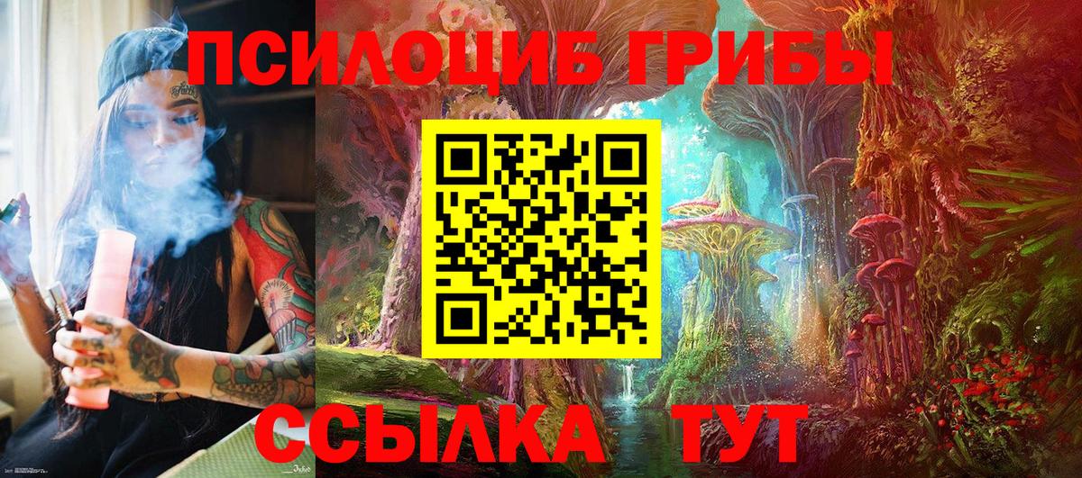 Галлюциногенные грибы мицелий Таганрог