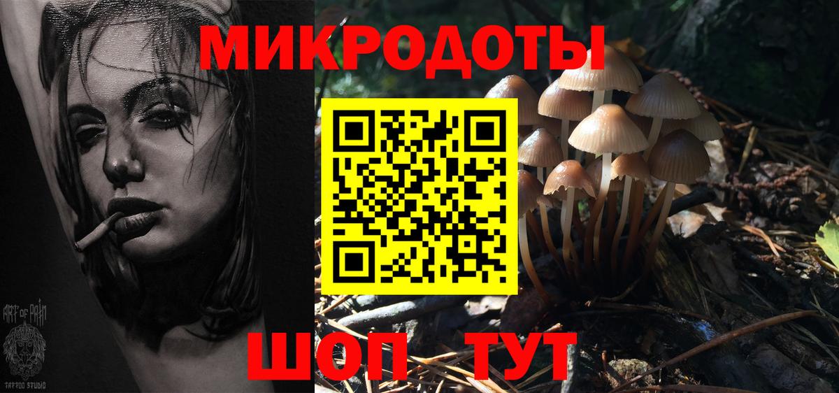 Таганрог  Псилоцибиновые грибы ЛСД  Псилоцибиновые грибы мицелий  Вход с VPN 